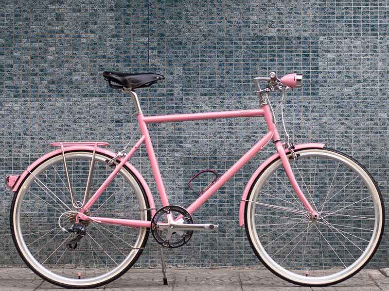จักรยาน tokyobike plus CS ทำสีพิเศษ สีชมพู และ อุปกรณ์จักรยาน สีชมพู ทั้คัน